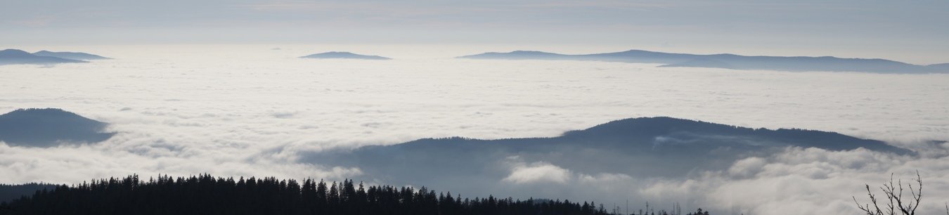 Die Gipfel des Bayerischen Waldes im Nebel.
