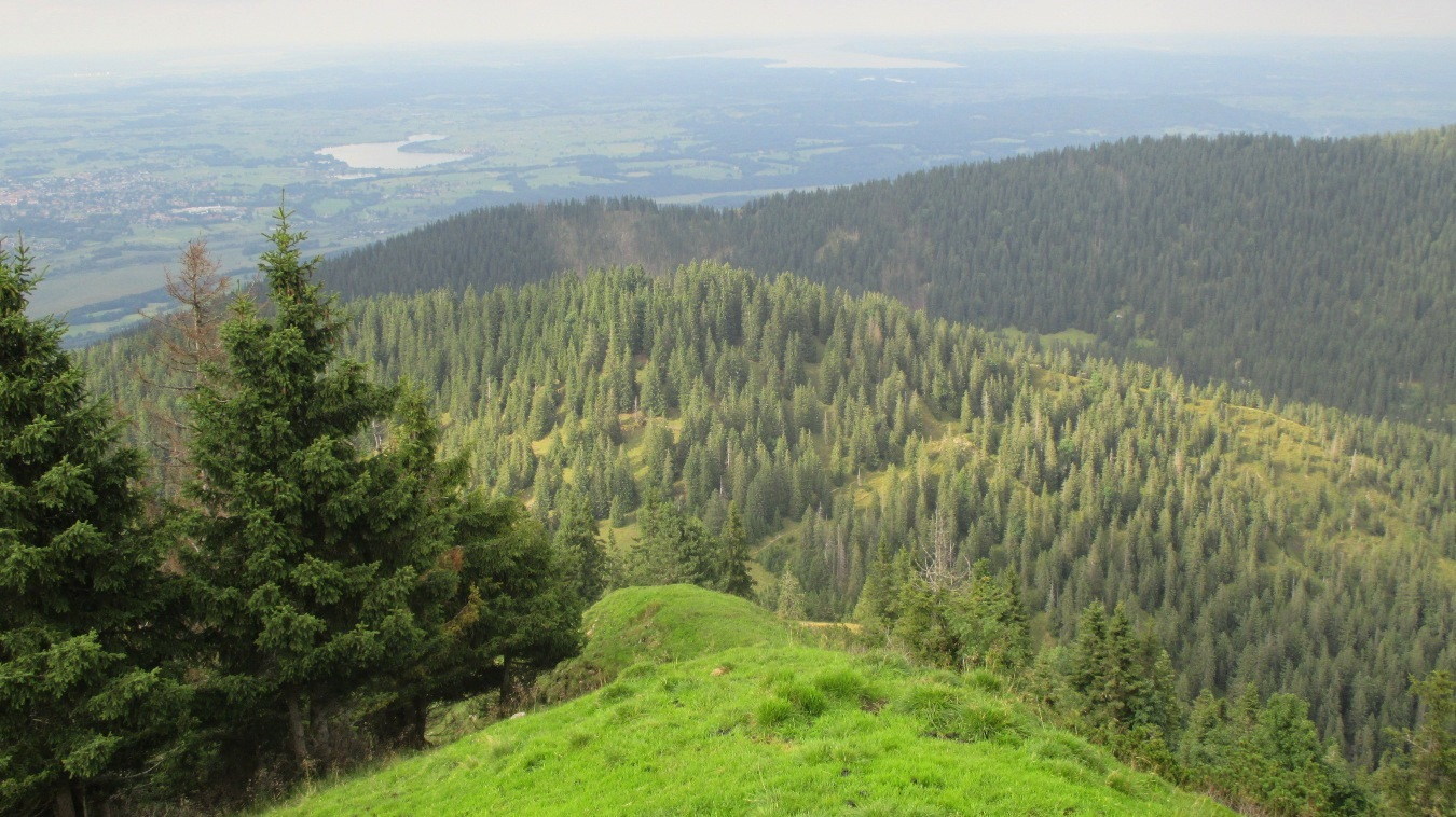 Der Blick vom Hirschberg auf den Ölrain und das flache Alpenvorland.