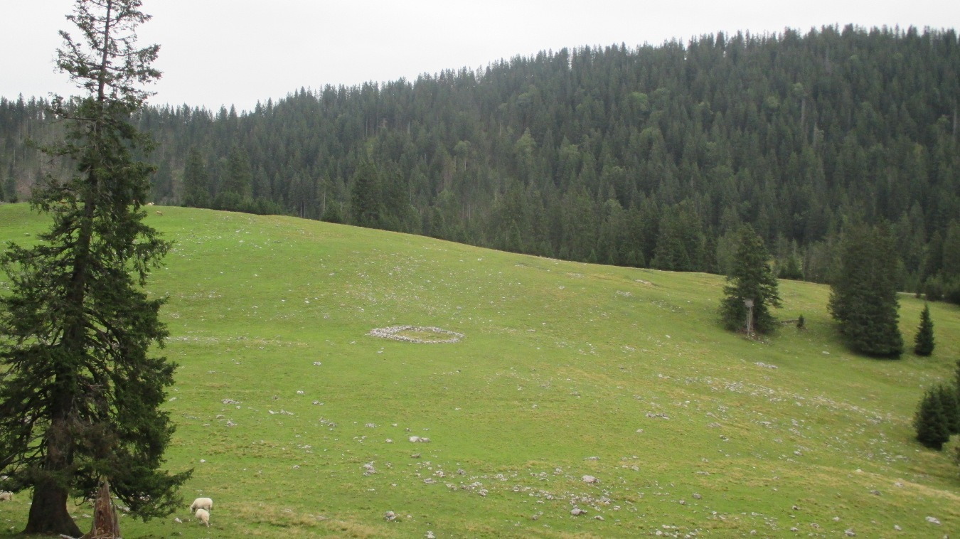 Die Wankwiese am Hirschberg.