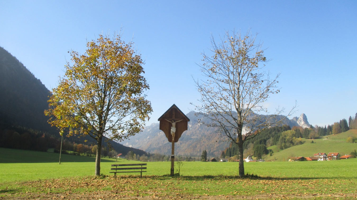 Eine Herbstwiese bei Ettal.