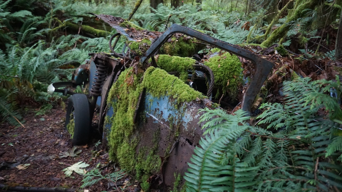 Ein altes Autowrack im Regenwald bei Langdale.
