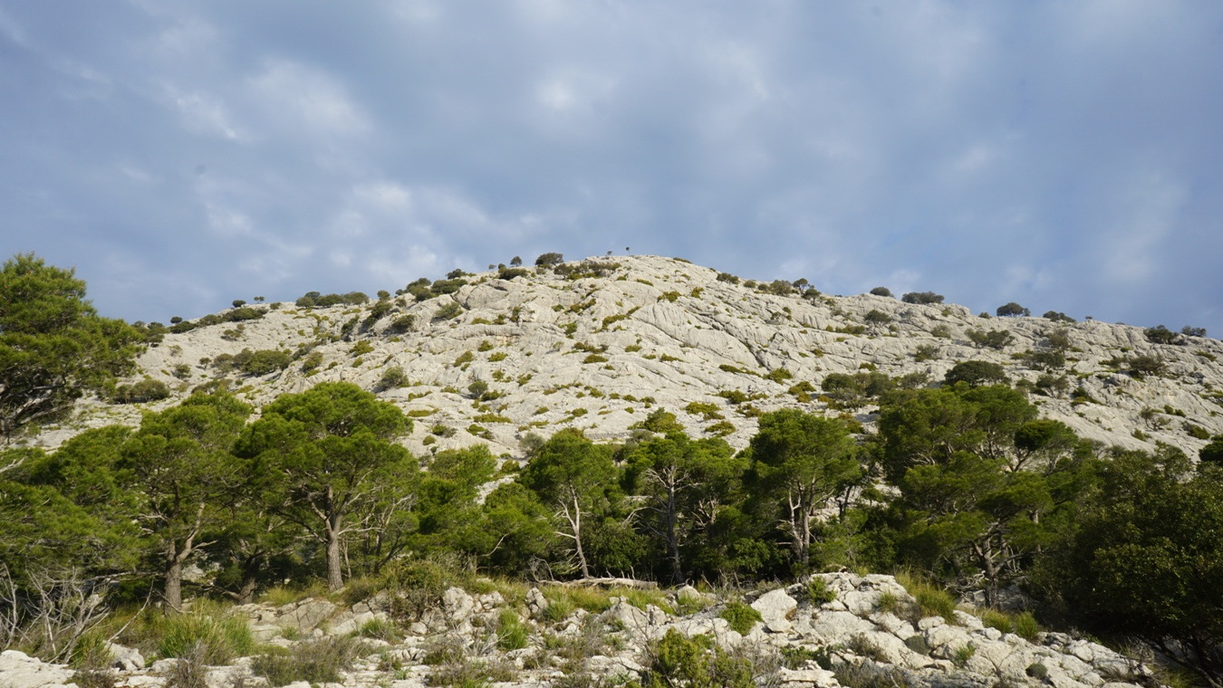 Die Ostflanke des Puig de sa Rateta in der Serra de Tramuntana.