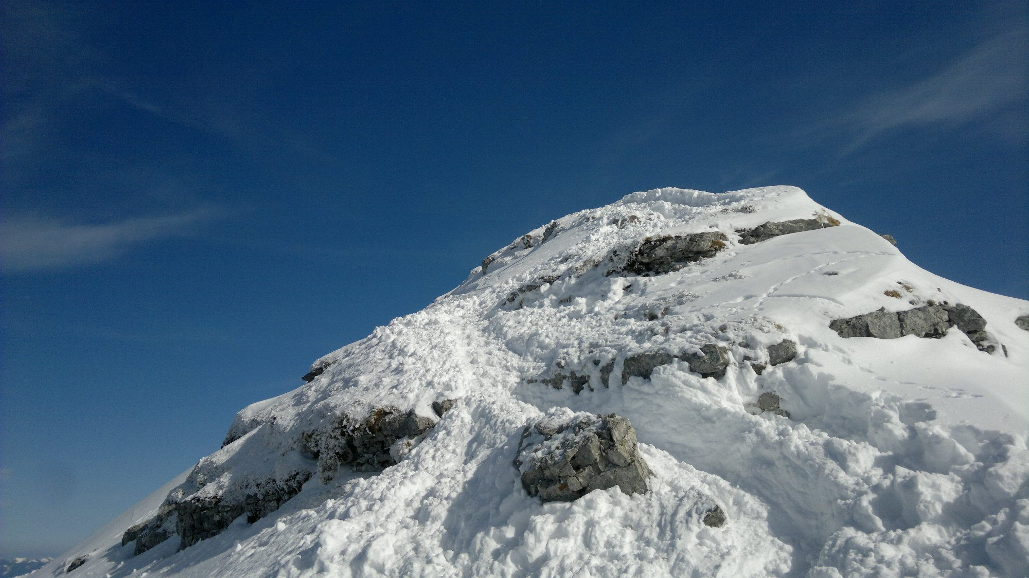 Die letzten Meter zum Gipfel des Schafreuter.