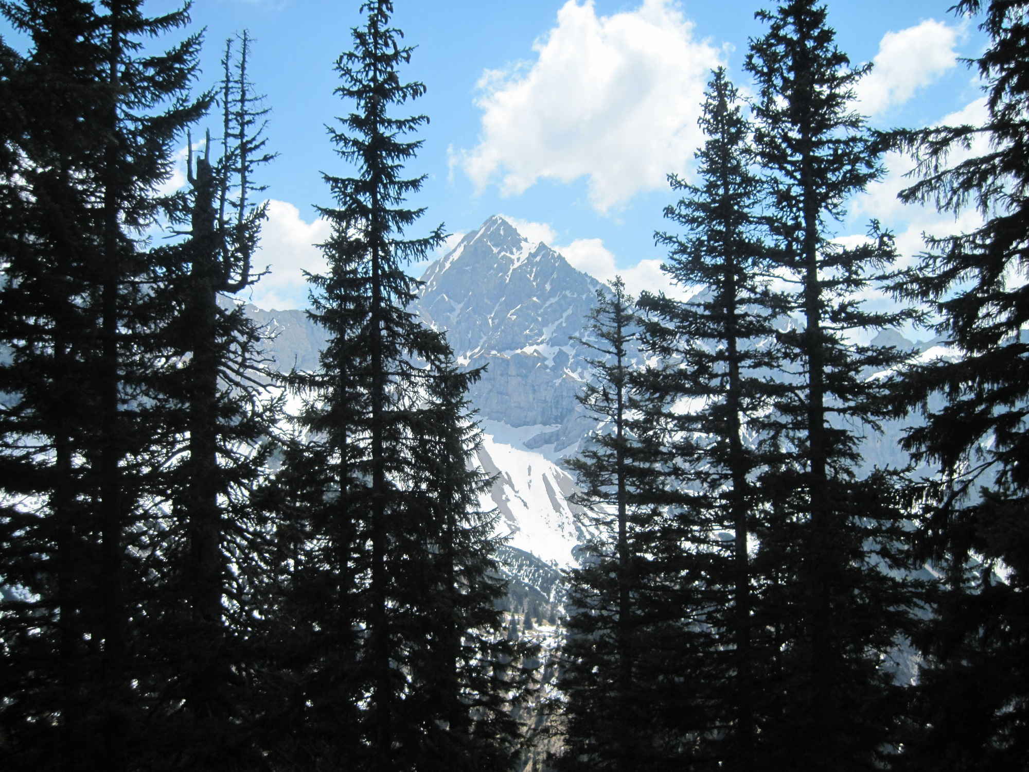 Der Blick vom Zunterweidkopf auf die Nördliche Karwendelkette.