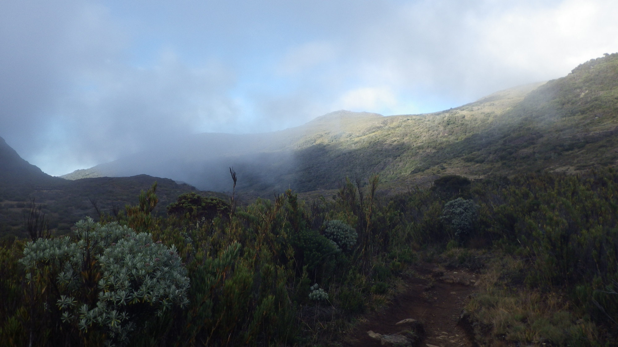 Nebelschwaden am Cerro Chirripó.