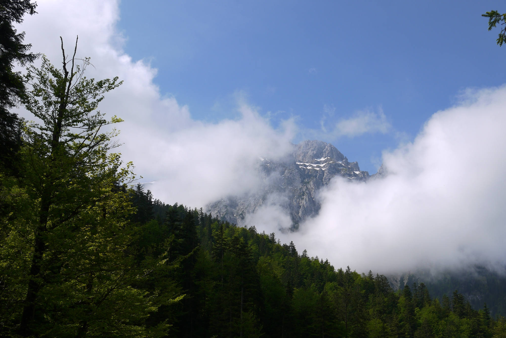 Die Westliche Karwendelspitze im Nebel.