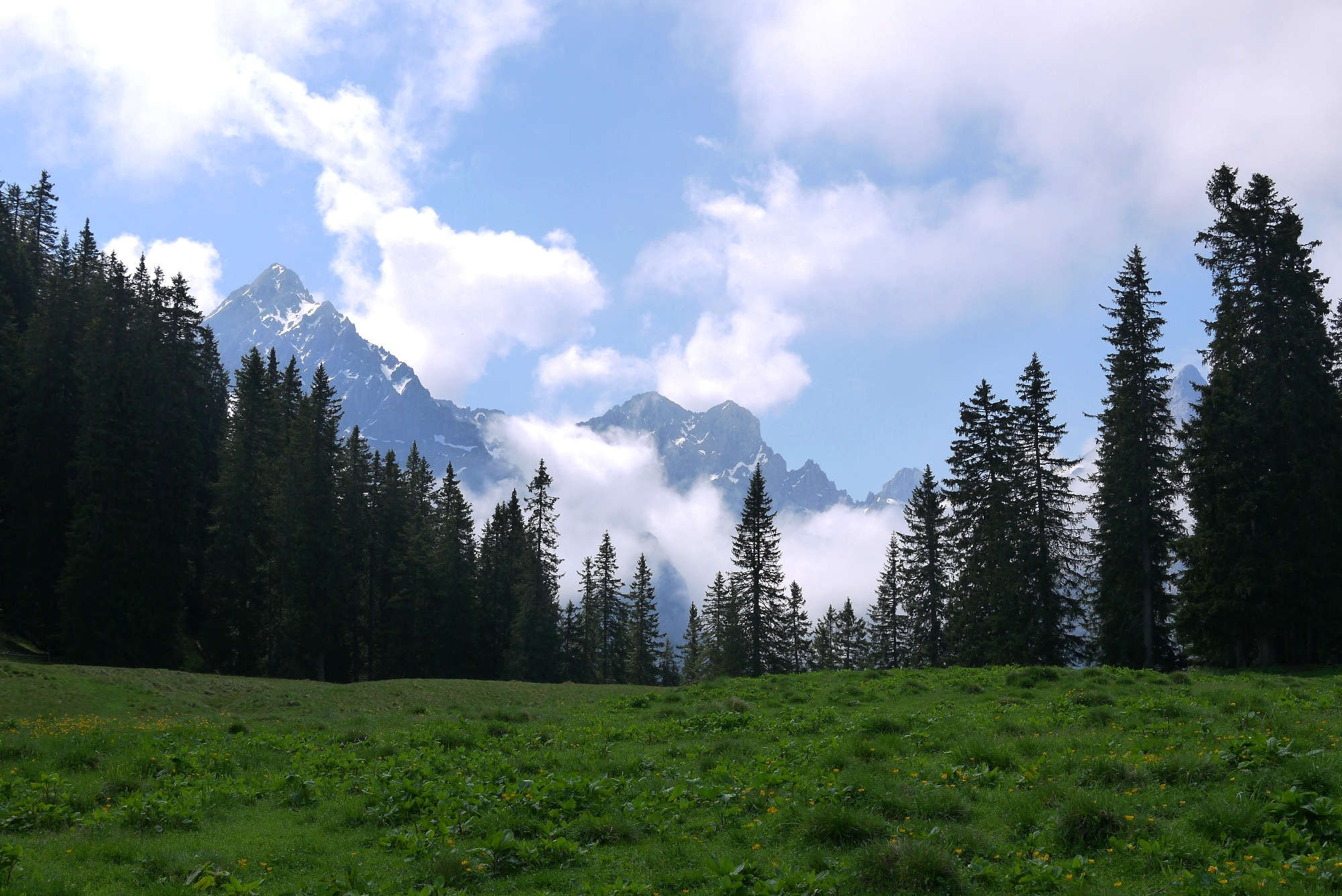 Der Blick von der Rehbergalm auf die Gipfel des Karwendel.