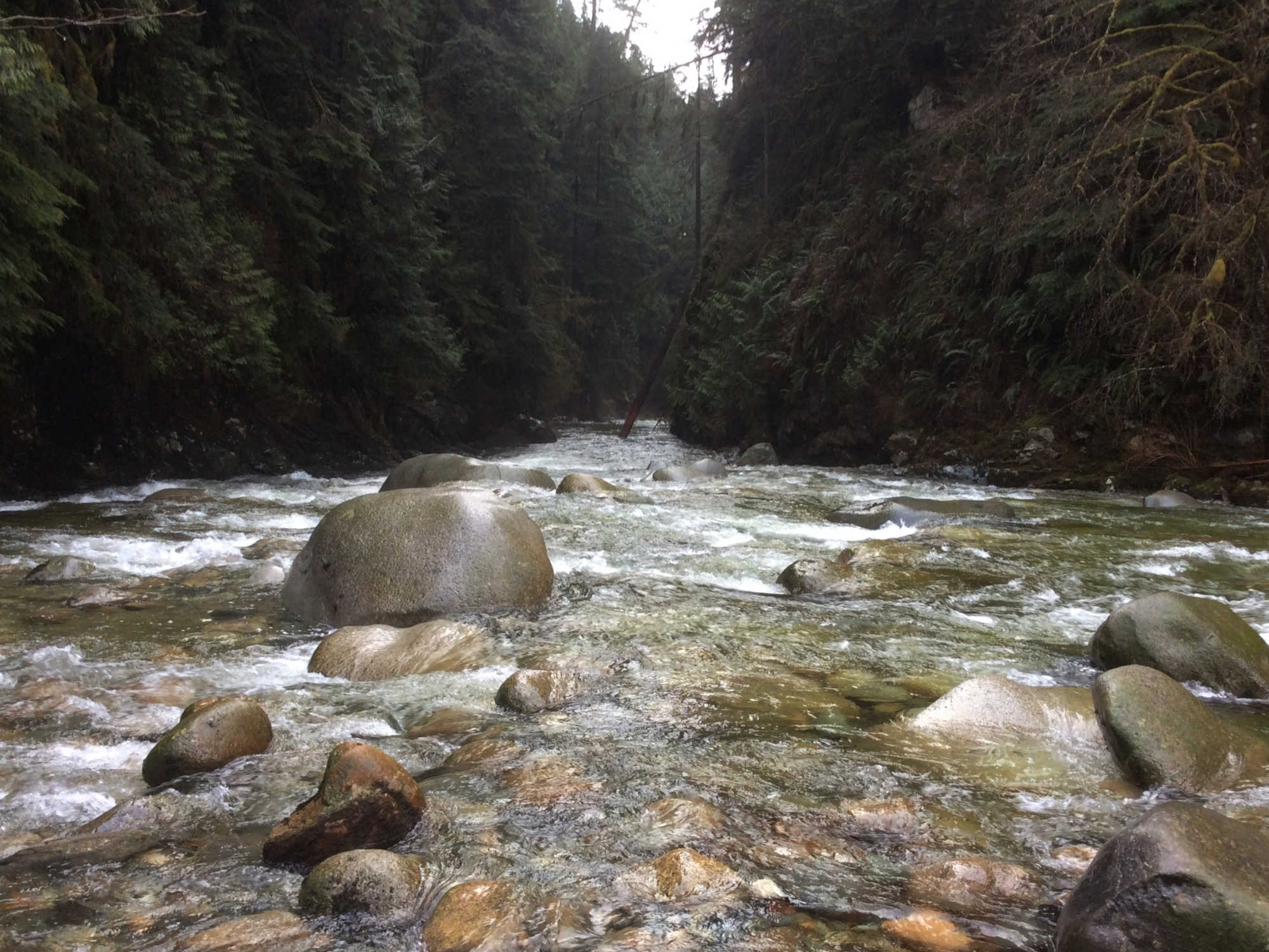 Der Lynn Creek am Baden-Powell Trail.