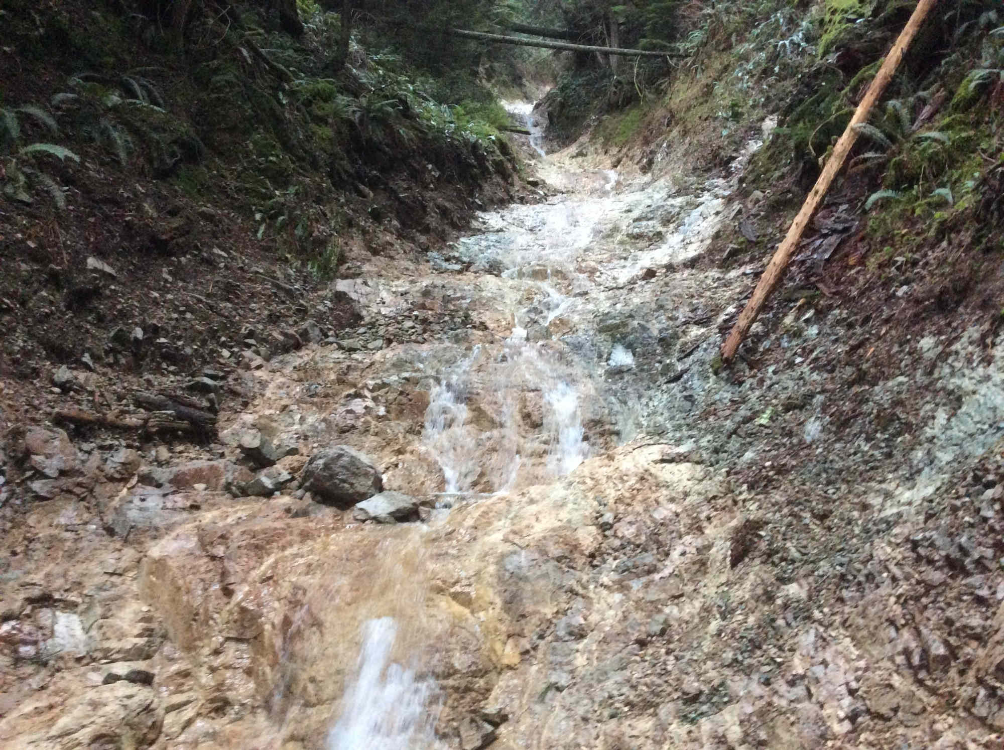 Der West MacKay Creek am Baden-Powell Trail.