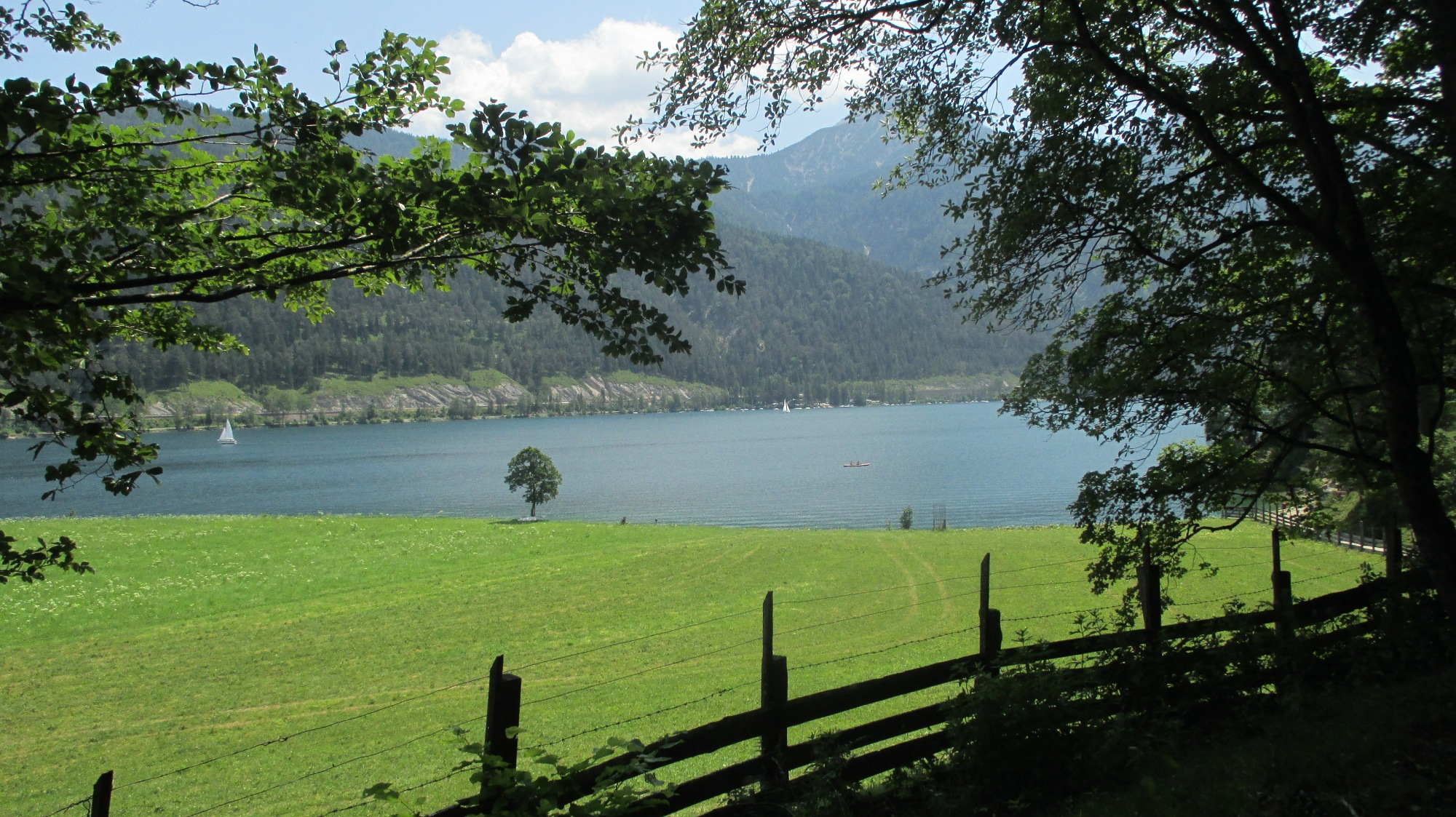 Das Nordufer des Achensee bei Achenkirch in Tirol.