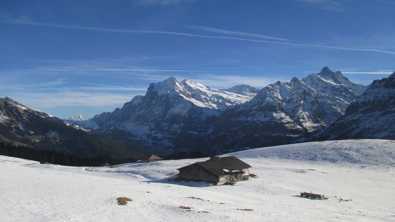 Ein herrlicher Wintertag im Berner Oberland.