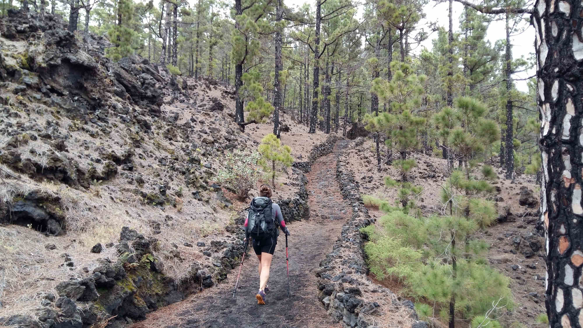 Die Ruta de los Volcánes im Nationalpark Cumbre Vieja.