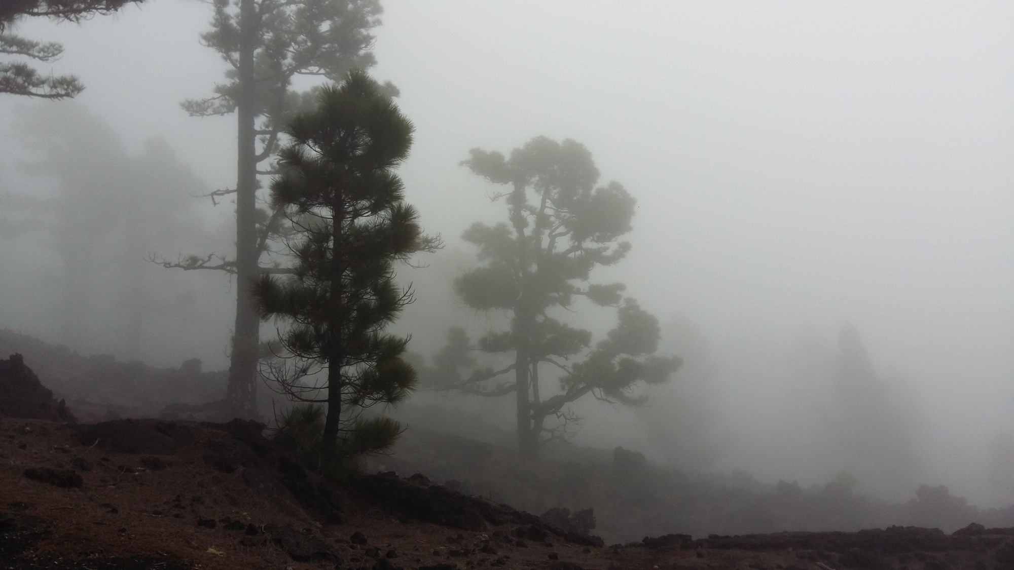 Dichter Nebel über der Ruta de los Volcánes.