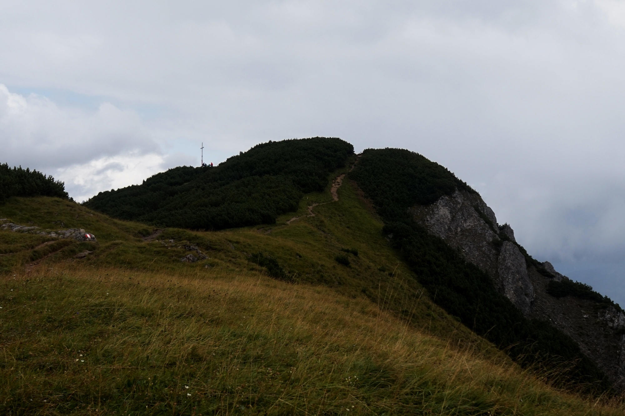Der Gipfel des Bärenkopf.