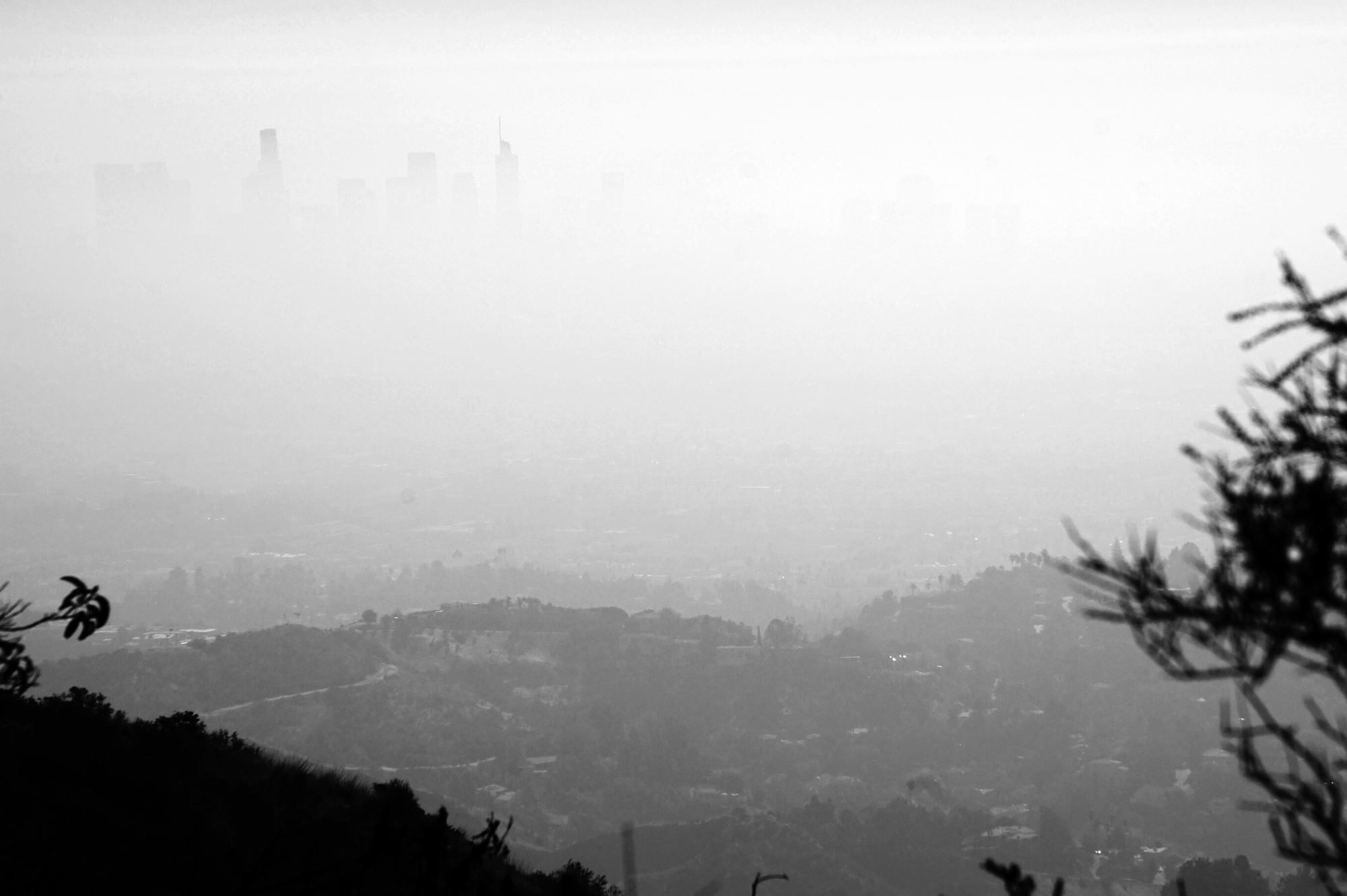 Die Wolkenkratzer von Downtown Los Angeles im Smog.