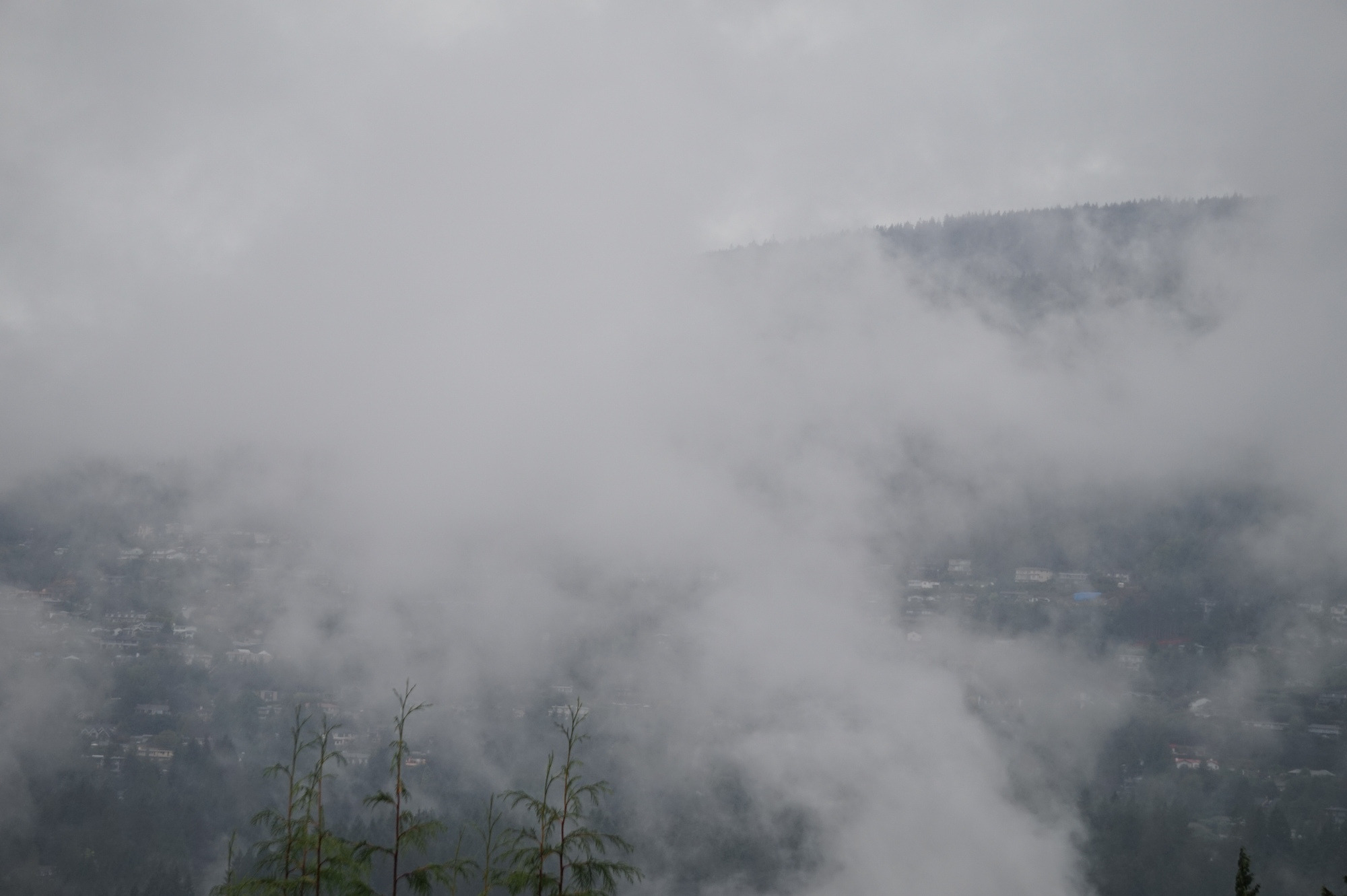 Nebelschwaden über den North Shore Mountains.