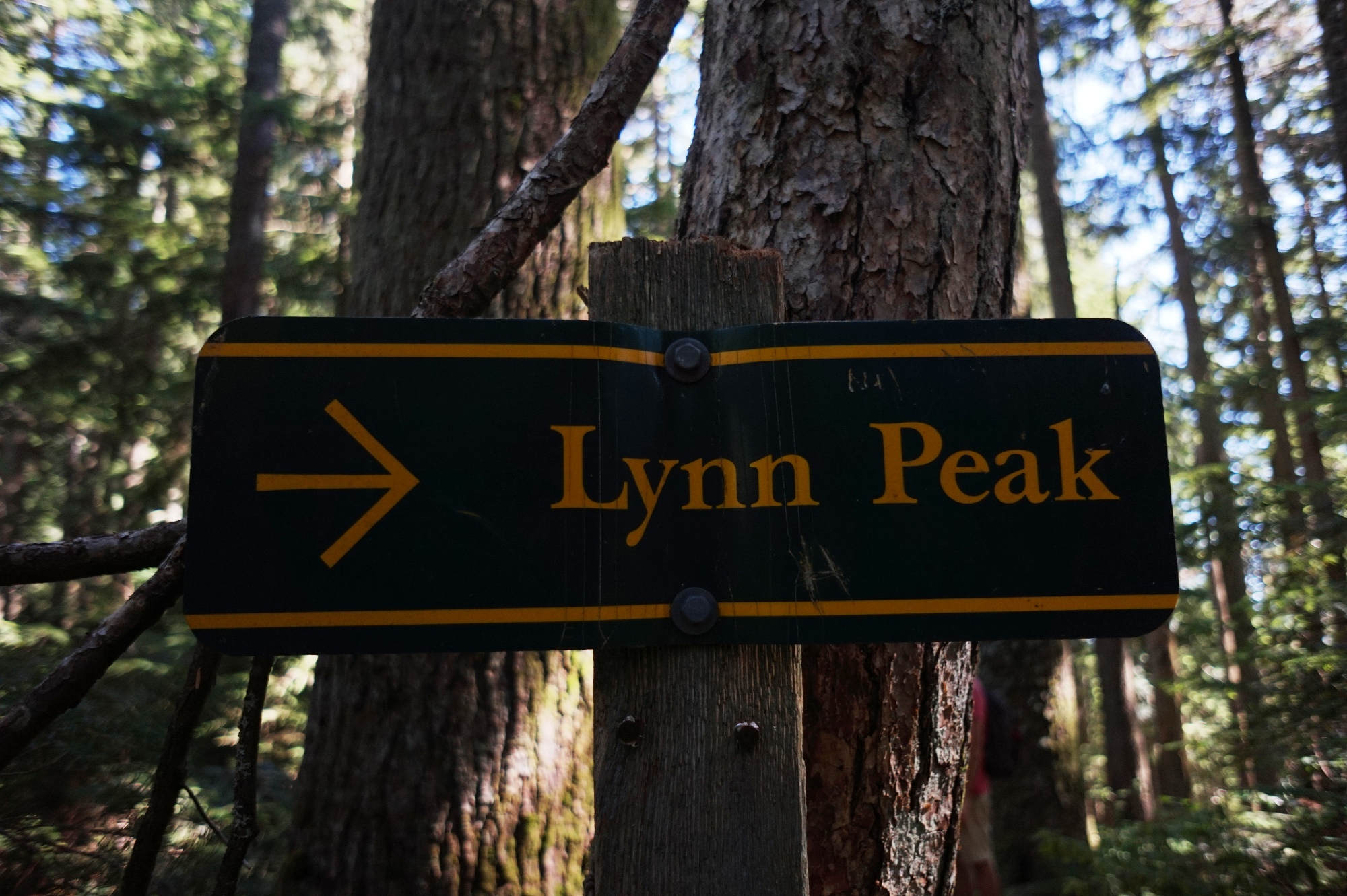 Das Schild zum Lynn Peak.