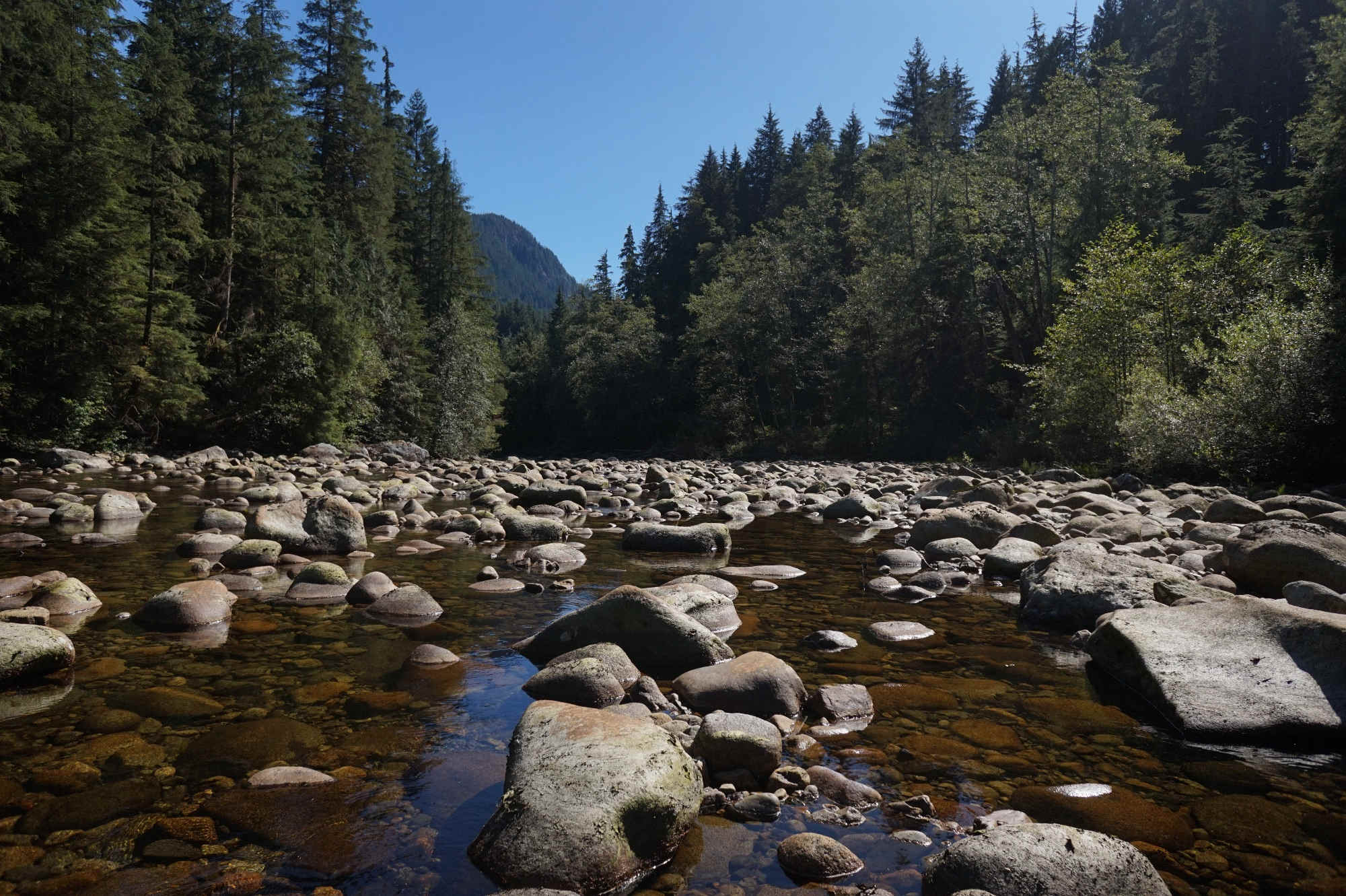 Der Seymour River bei North Vancouver.