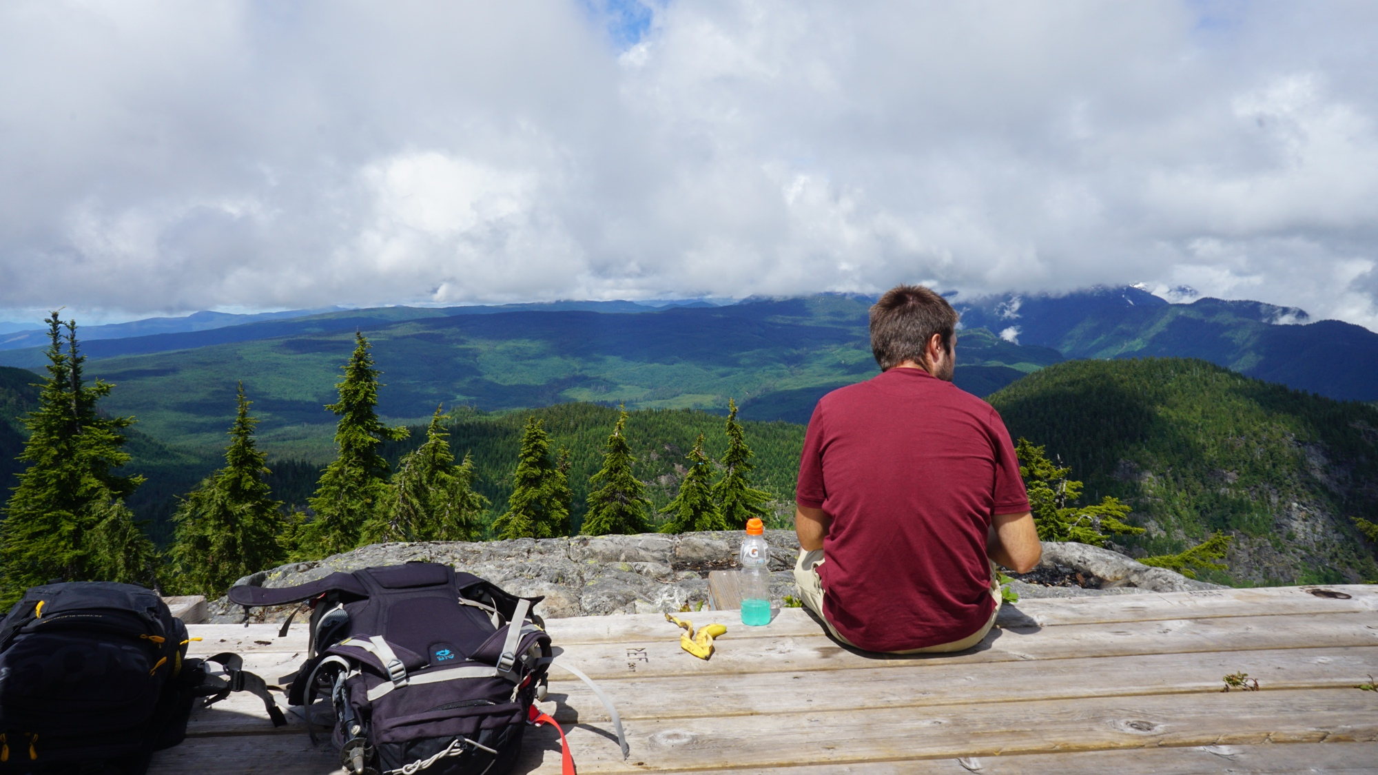Der Blick vom Mount Elphinstone über die Nadelwälder im Tetrahedron Provincial Park.