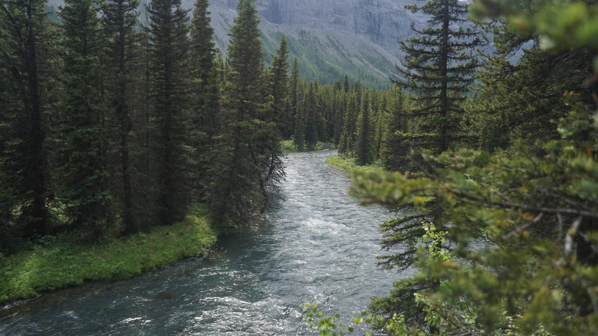 Der Bryant Creek am Assiniboine Loop in den Kanadischen Rockies.