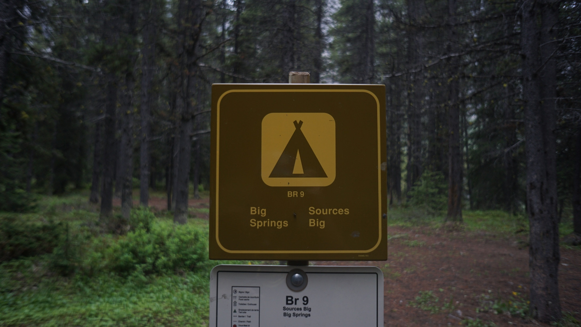 Die Big Springs Campsite am Assiniboine Loop in den Kanadischen Rockies.
