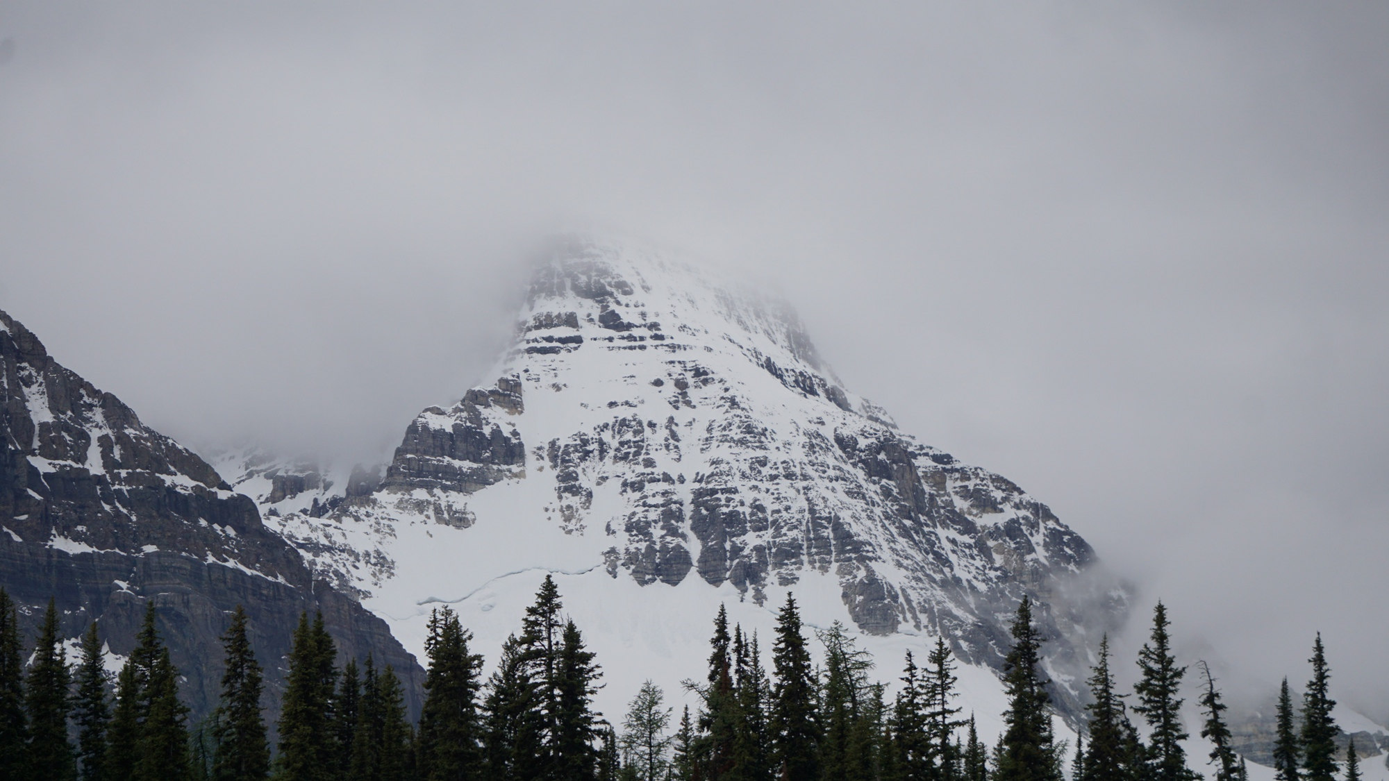 Der Mount Assiniboine im Nebel.
