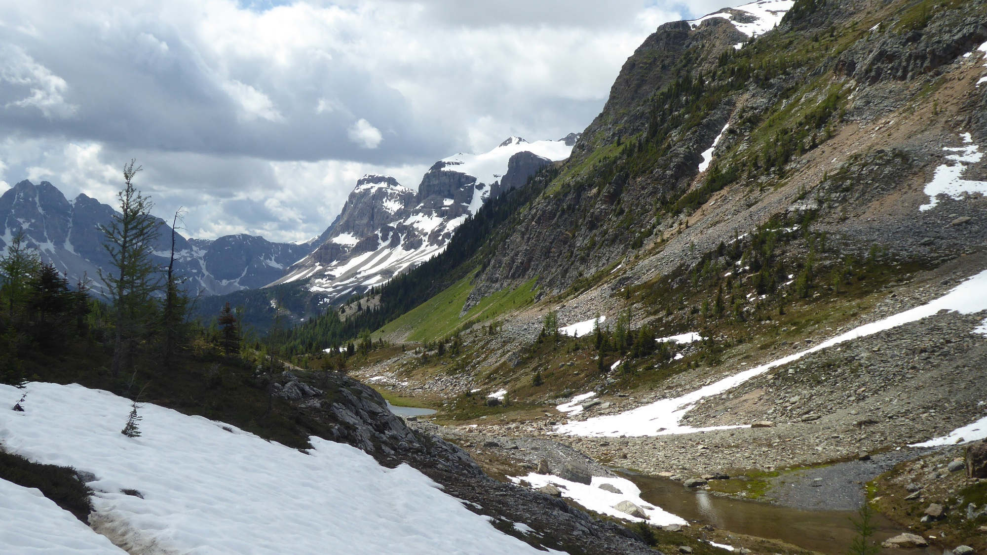Der Abstieg vom Wonder Pass in den Kanadischen Rockies.