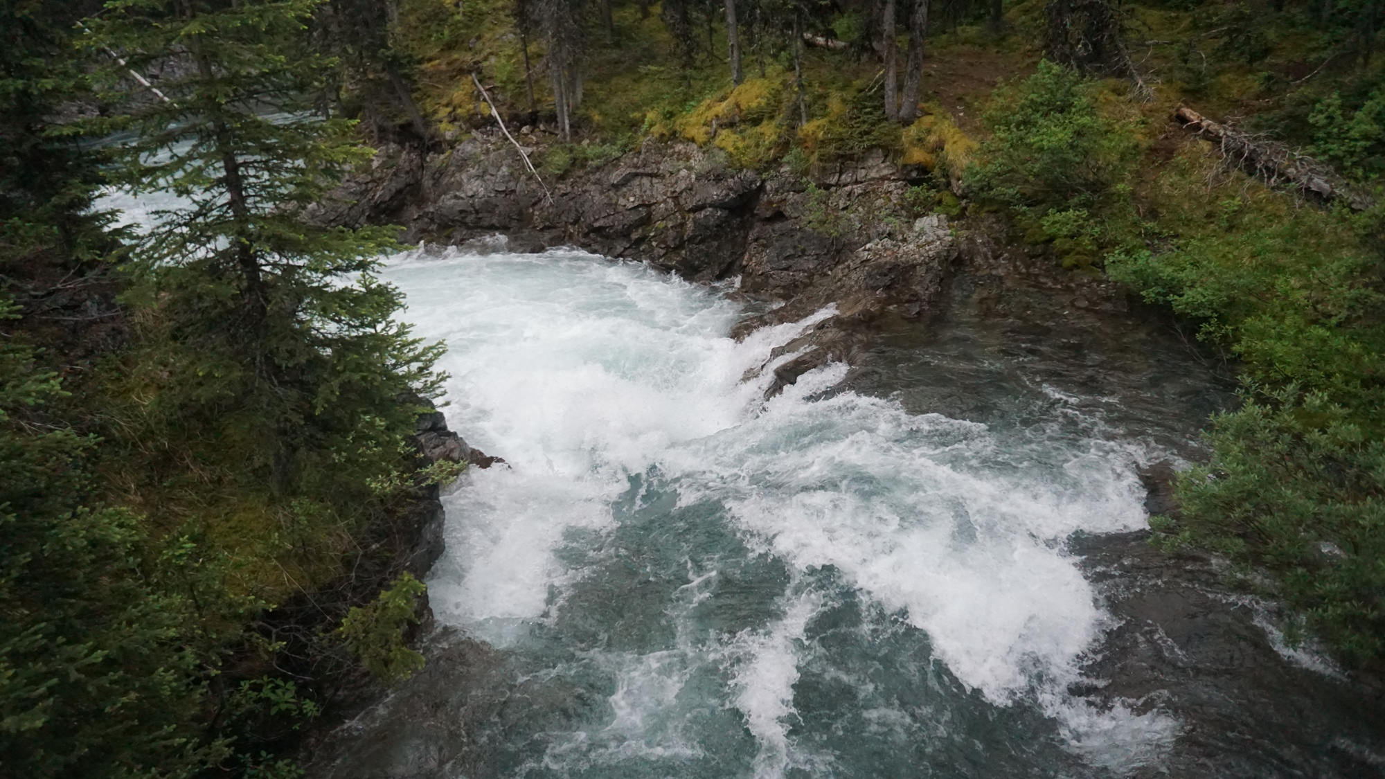 Der Bryant Creek in den Kanadischen Rockies.