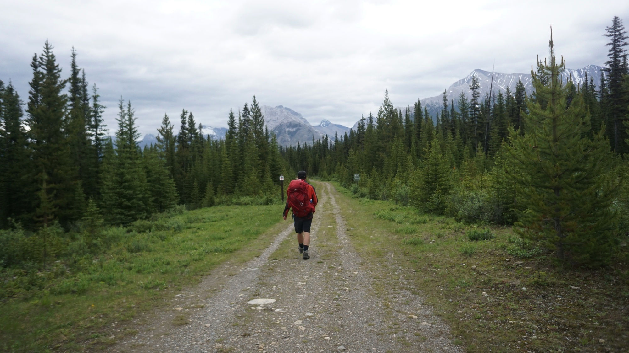Der Watridge Trail in den Kanadischen Rockies.
