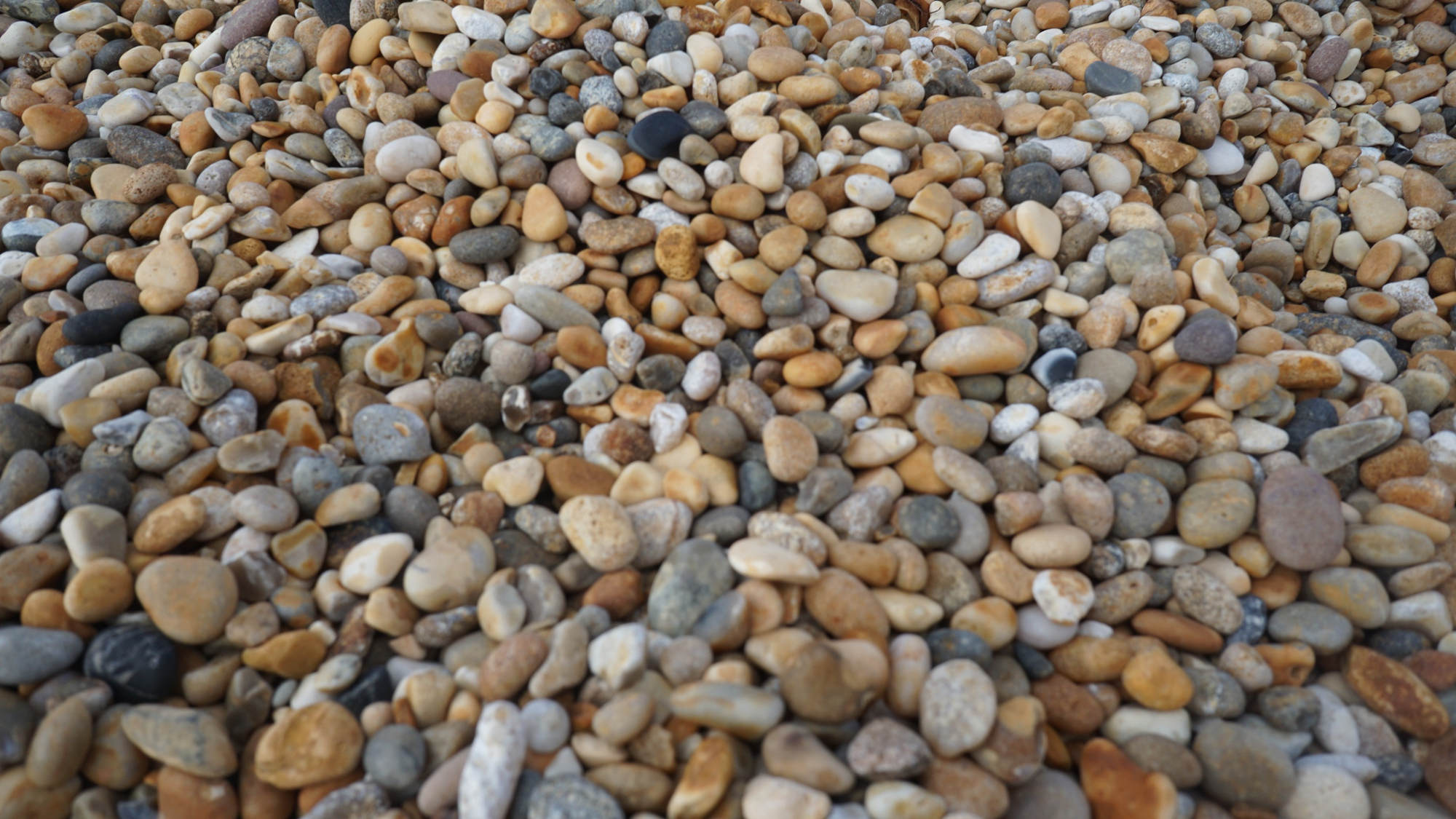 Die feinen Kiesel des Chesil Beach.