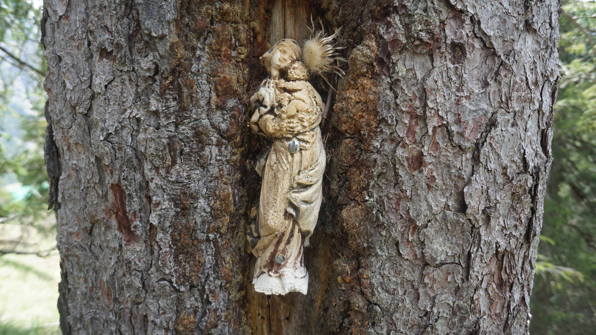 Eine Marienfigur im Wald.