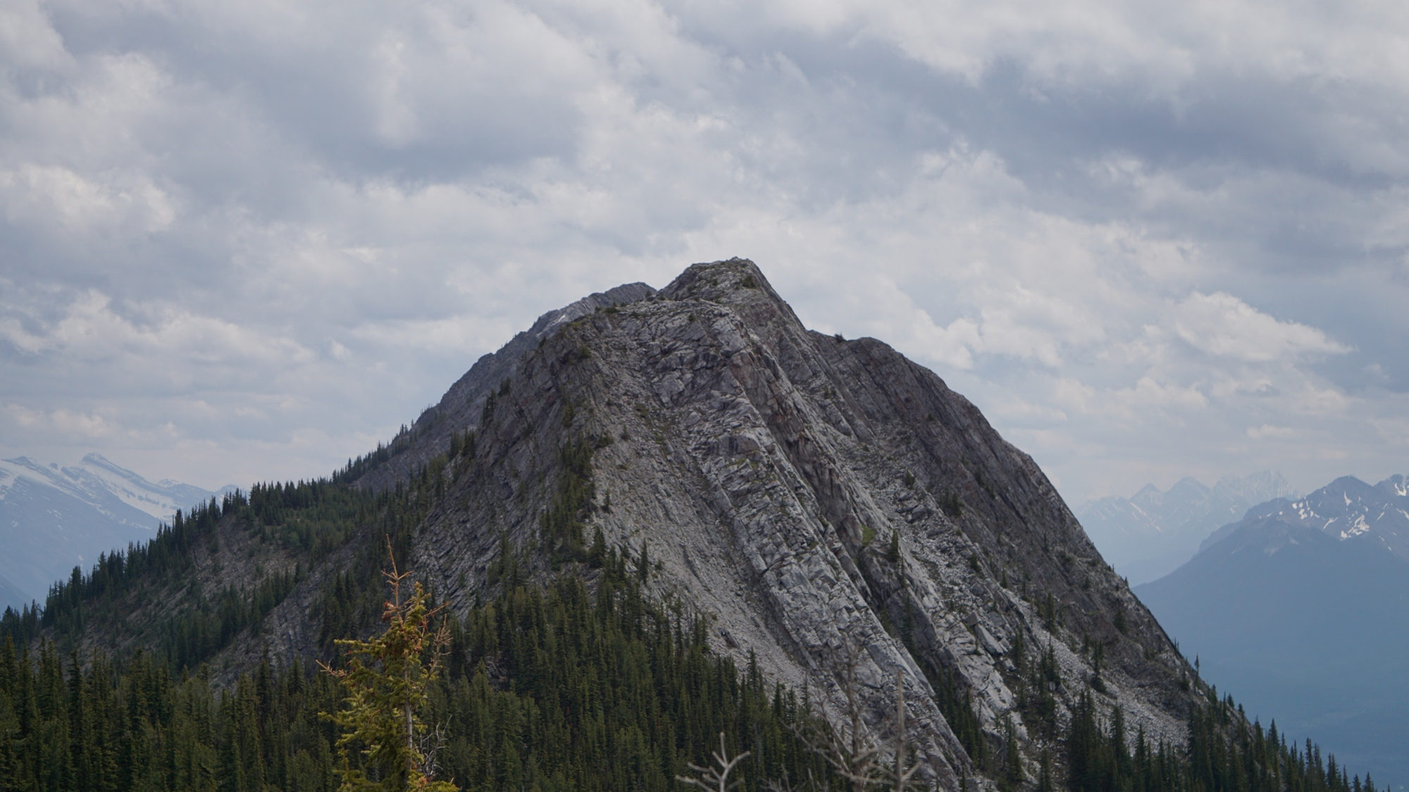 Der Blick vom First Peak auf den Sulphur Mountain.