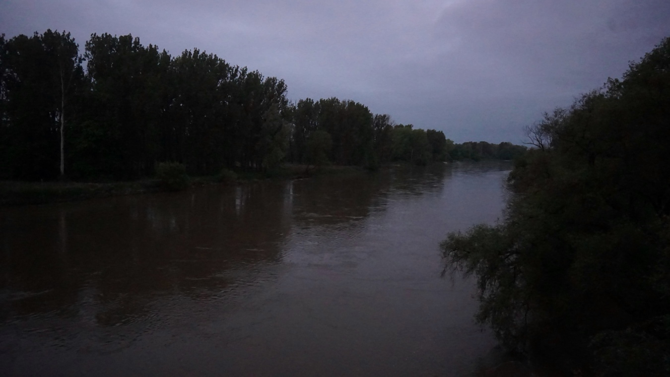 Die Donau bei Pförring.