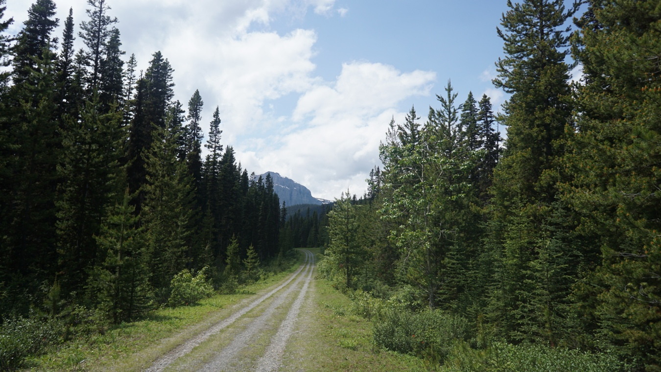 Der Watridge Lake Trail in den Kanadischen Rockies.