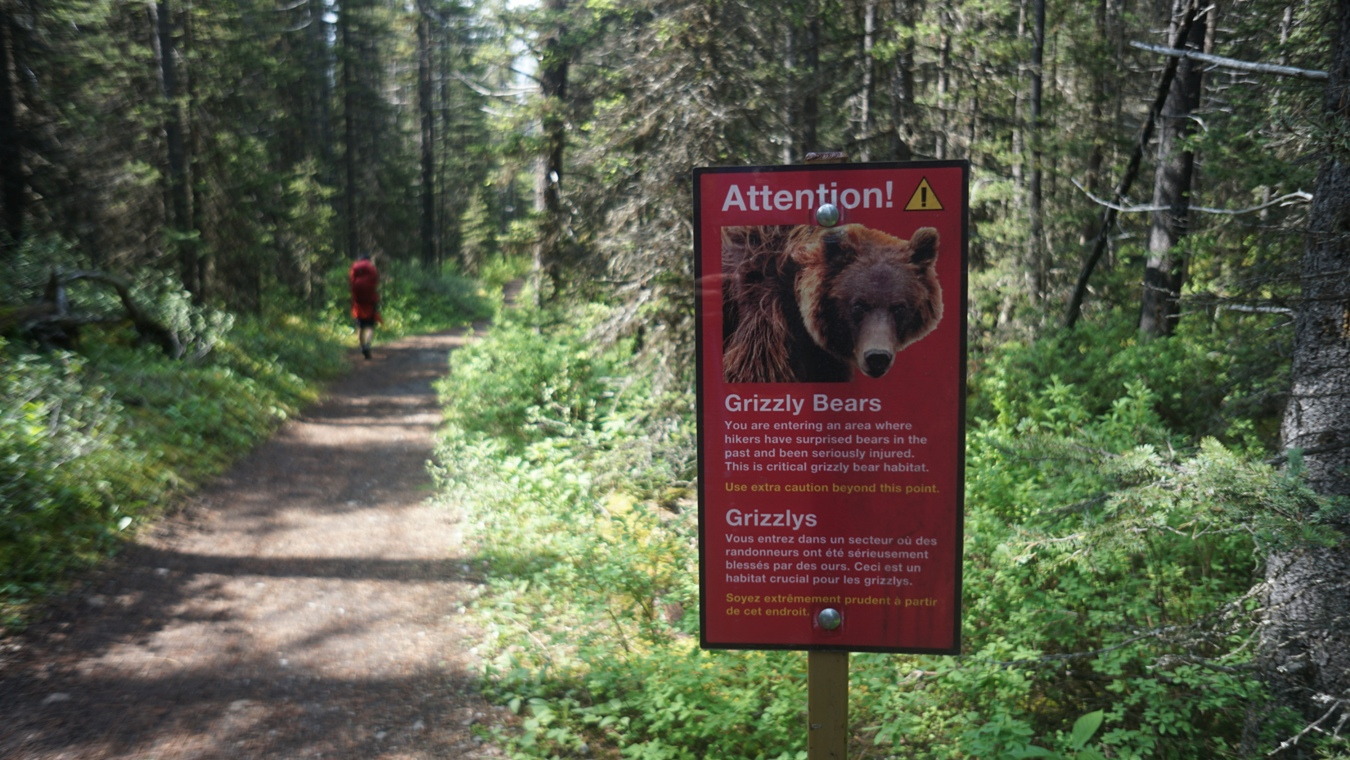 Ein Bären-Warnschild am Assiniboine Loop in den Kanadischen Rockies.