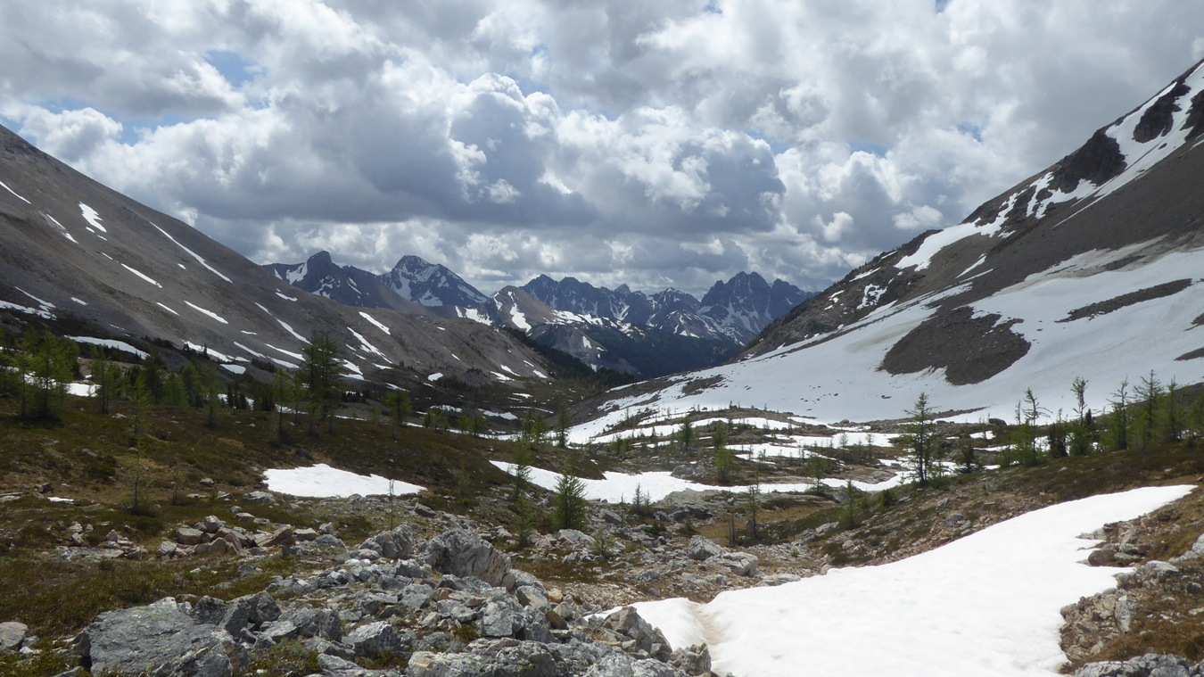 Der Abstieg vom Wonder Pass in den Kanadischen Rockies.