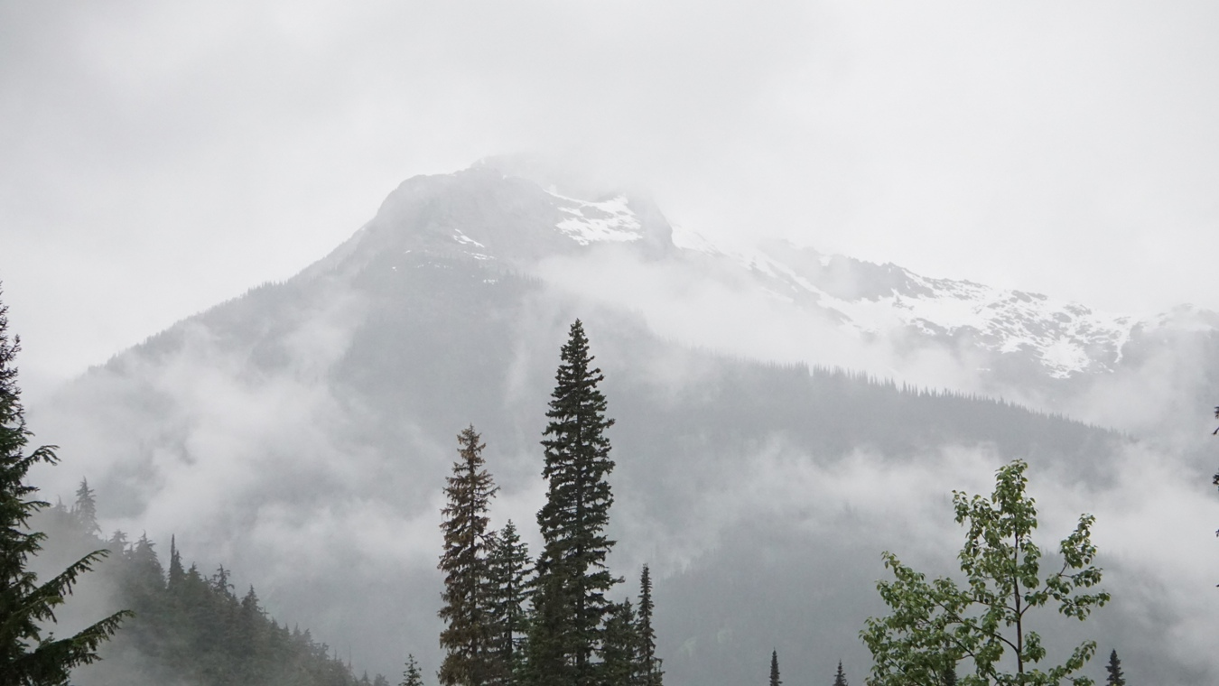Nebelschwaden über dem Cheops Mountain im Glacier National Park.
