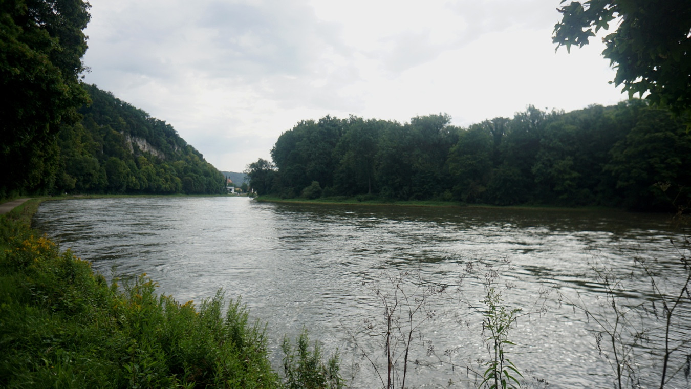 Die Donau kurz vor Kelheim.