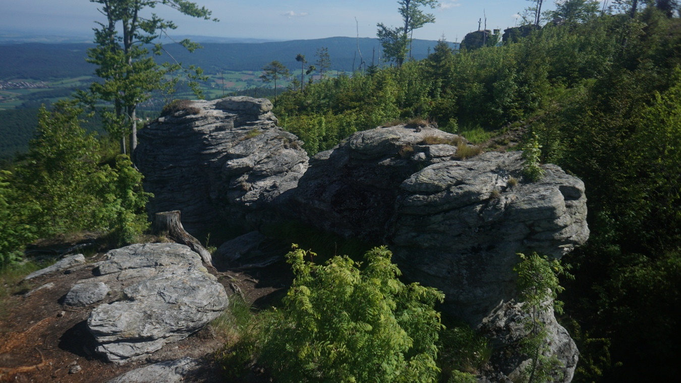 Der Gipfel des Ödriegel im Bayerischen Wald.