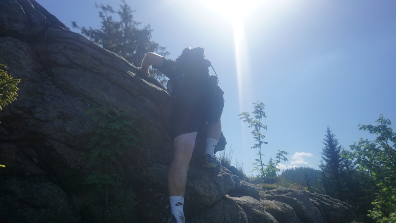 Der Gipfel des Hängenden Riegel im Bayerischen Wald.