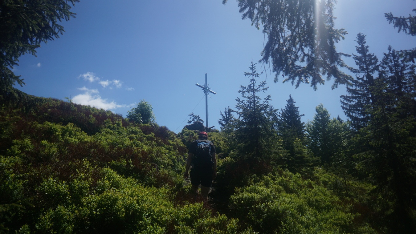 Der Gipfel des Schwarzeck im Bayerischen Wald.