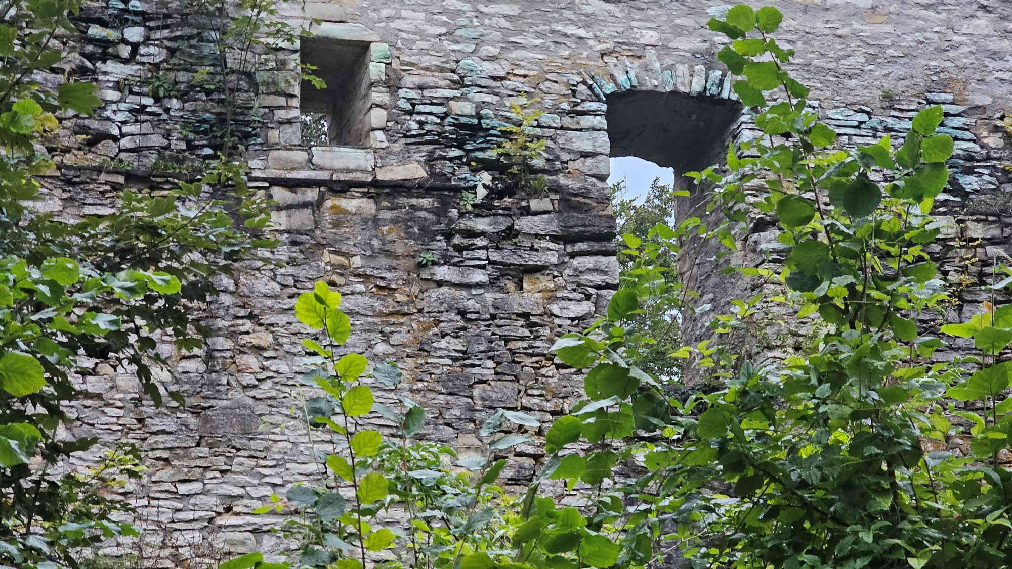 Die Ruinen der Alten Burg bei Neuburg an der Donau.