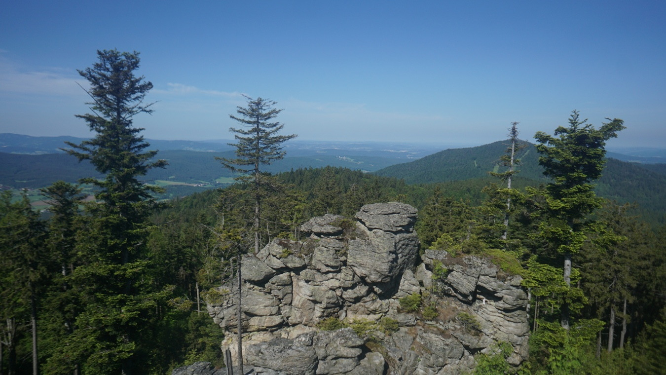 Der Ausblick vom Ödriegel im Bayerischen Wald.