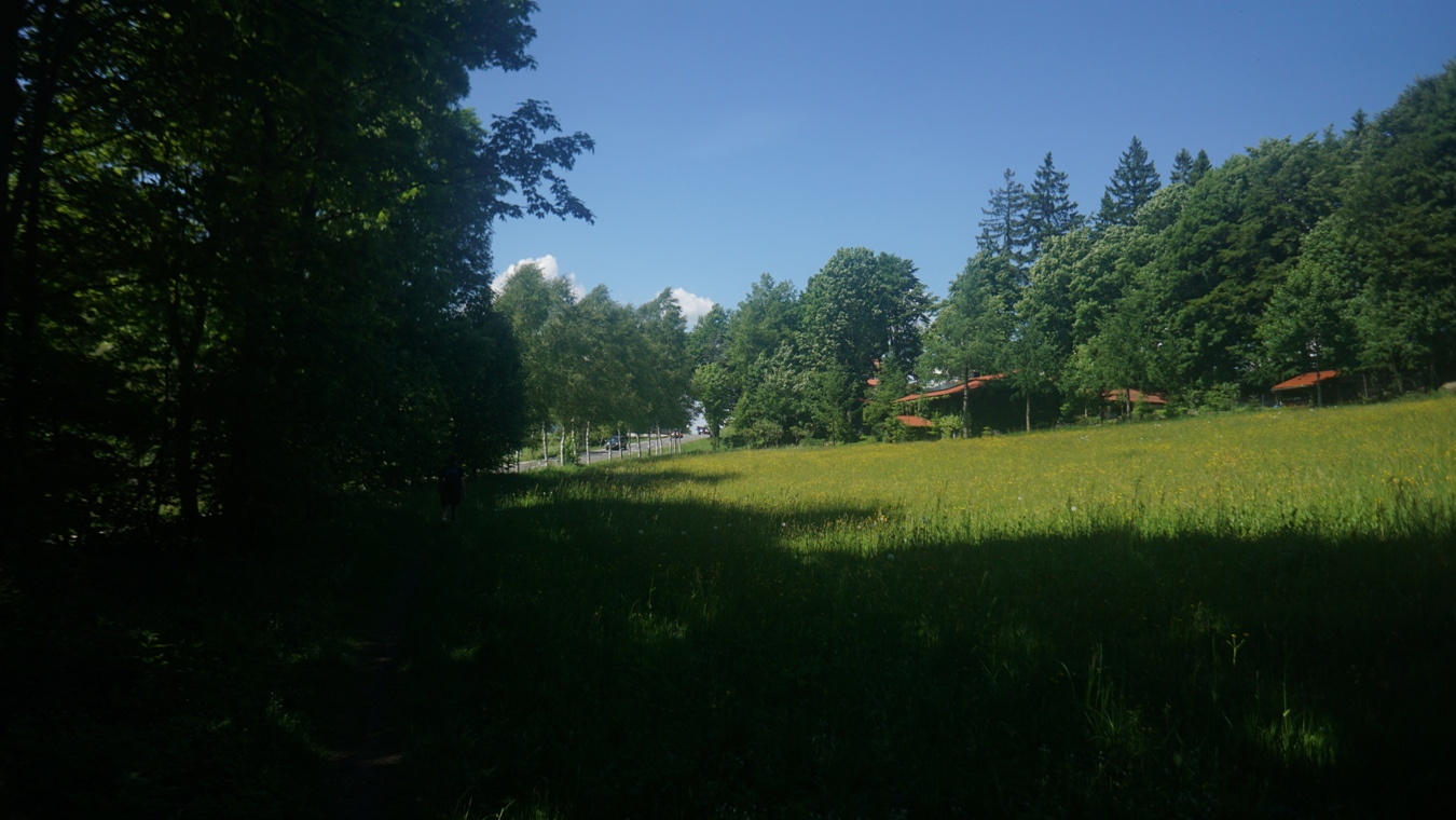 Rückkehr nach Eck im Bayerischen Wald.
