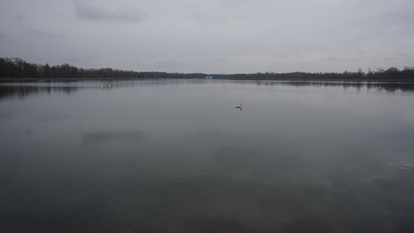Der Faiminger Stausee.